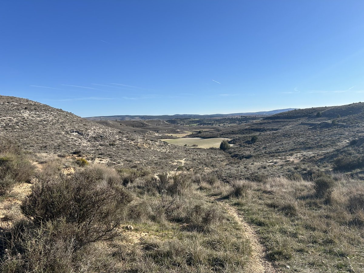 jm sanchez tweet media