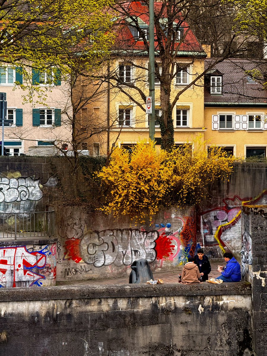 مَعن المغربي tweet media