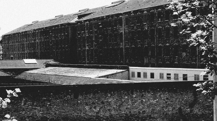 BLAST, Le souffle de l'info tweet media