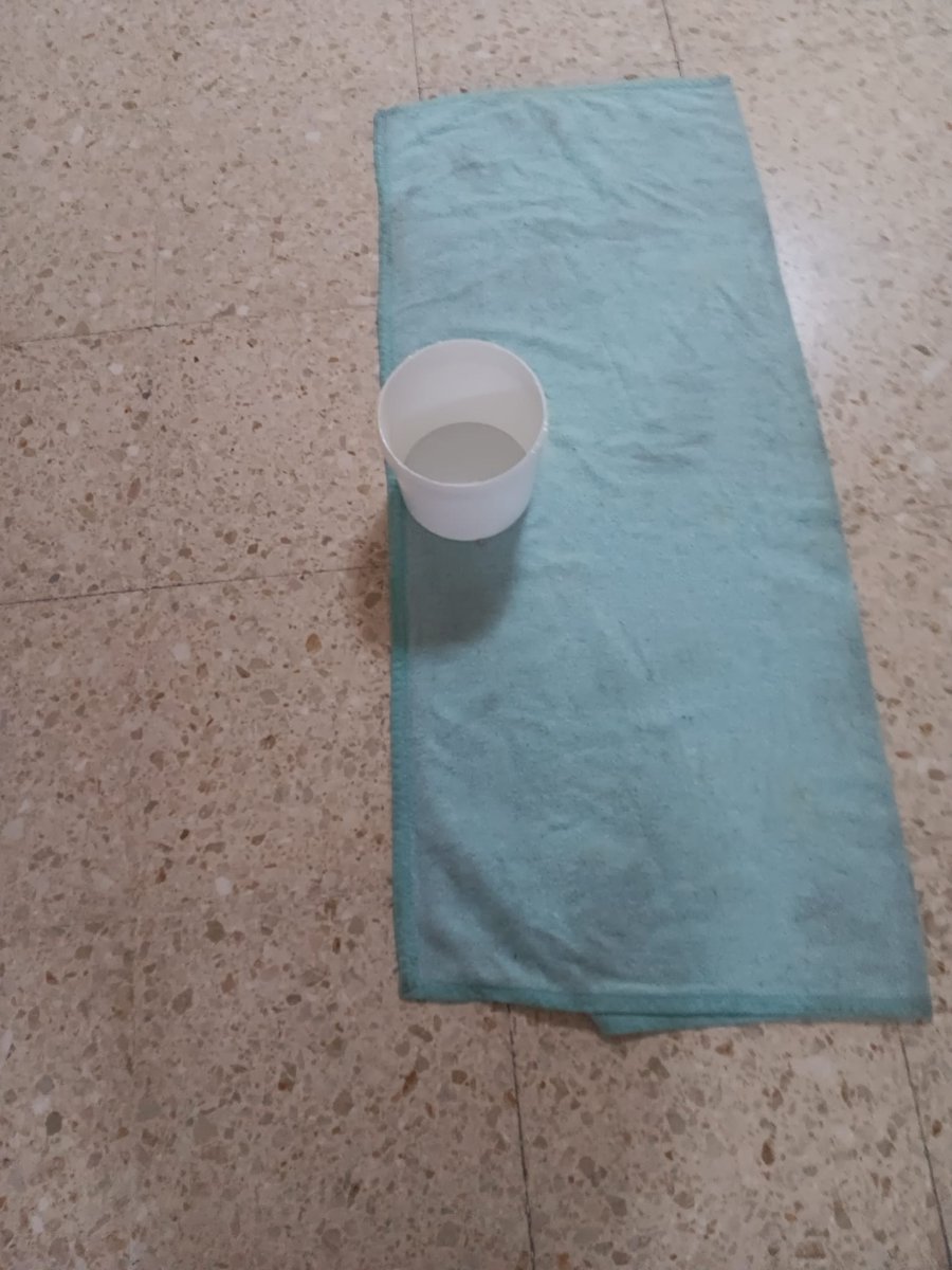 Mercedes Huertas Aguilera 💜🔻 tweet media