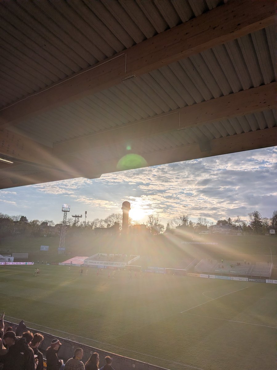 Bär mit Ö 🐻 tweet media