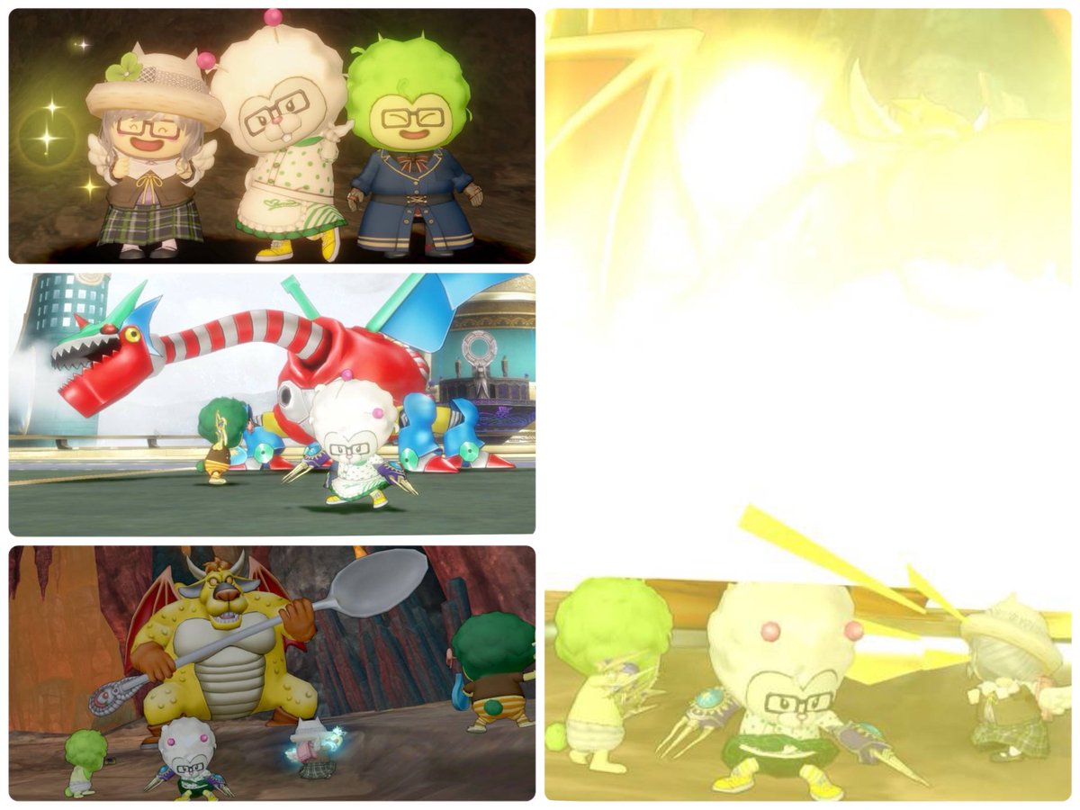 こむぎちゃん tweet media