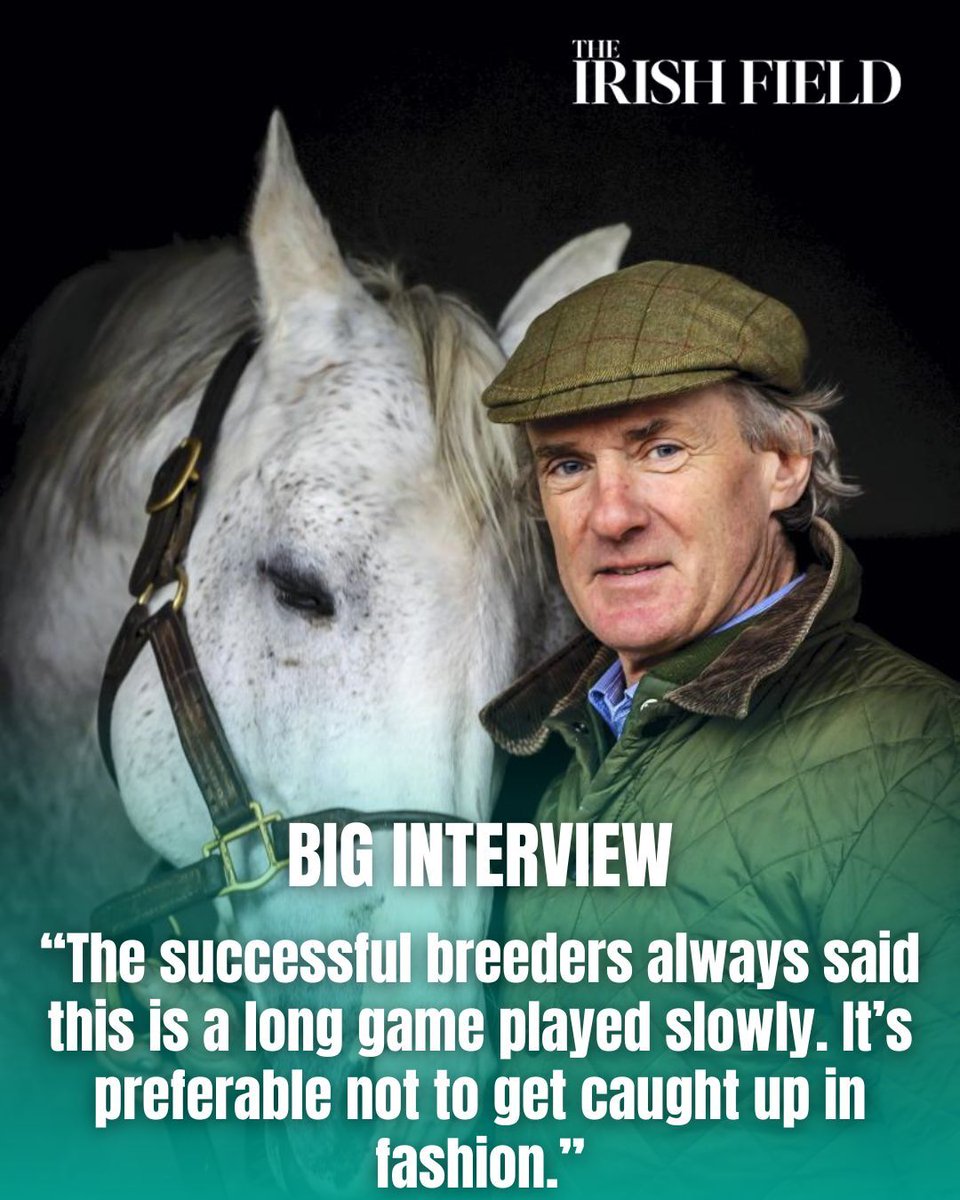 TheIrishField's tweet photo. This weekend in The Irish Field, Victor Connolly of Burgage Stud tells Amy Lynam about their bright future with three promising sires @A_Lynam @BurgageStud
https://t.co/Npe2yP15ux https://t.co/BQYH5nsQfa