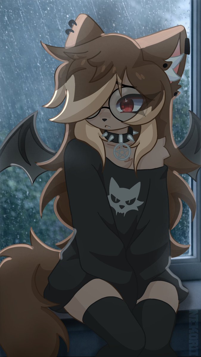 Neko 💙💖🐾 tweet media