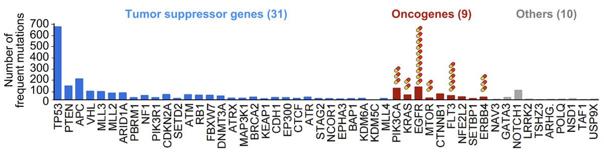 Samuel Hume tweet media