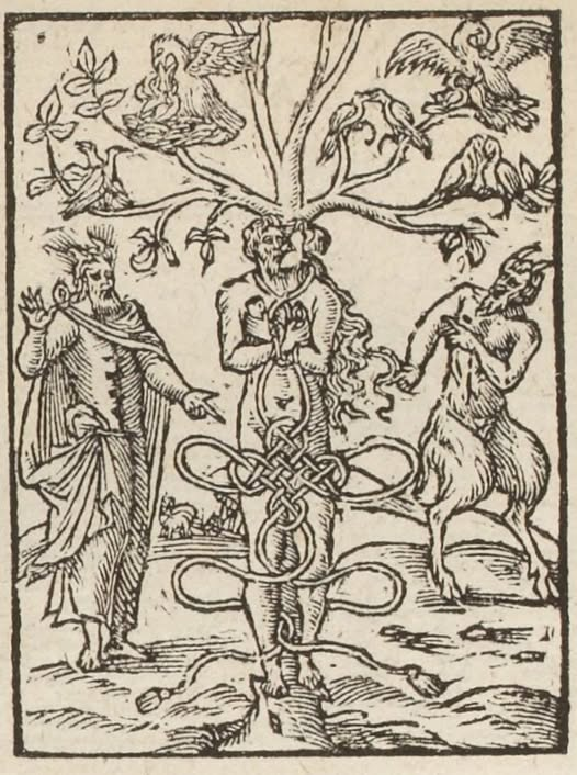 Actual Sex tweet media