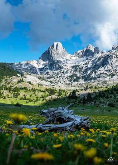 Kaizer Soze tweet media