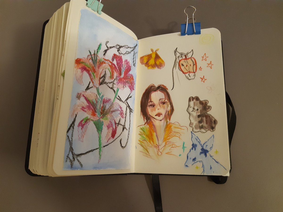 mini'yvm tweet media