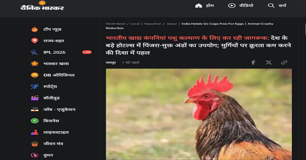 India_AE's tweet photo. After exposing the horrific cruelties inflicted on hens at egg farms, Animal Equality began requesting food companies from various sectors to reduce the suffering of hens raised for eggs.

Now Hyatt Regency in Chennai, the Leela Palace in Jaipur, Trident in Hyderabad, Jio World in Mumbai, Le Meridien and Hyatt Centric in Goa among others have become 100% cage-free.

While 17 other companies like Hilton, Imperial, Leela Palace, etc have transitioned more than 40% impacting 101,771 hens and 42 new companies like IBIS, Novotel, etc have started transitioning impacting 233,014 hens. Animal Equality has also persuaded egg producers to go cage-free impacting 34,000 hens.

You can support our work by making a donation: https://t.co/8Xbut4hXdh