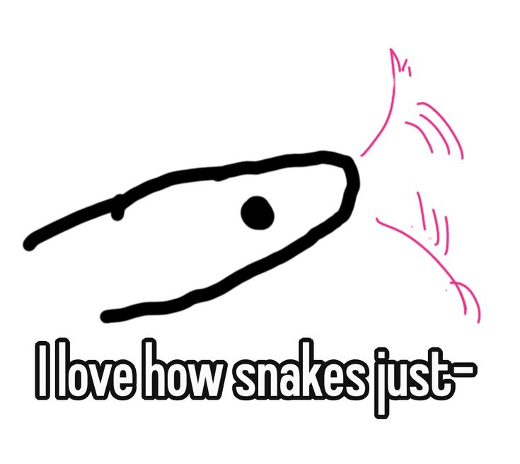 A Snack Snake! tweet media