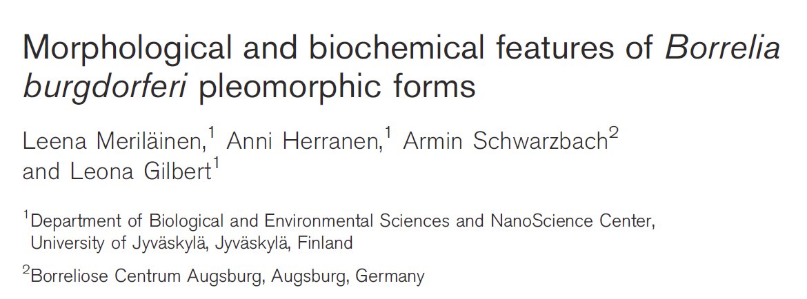 Nick Petosky tweet media