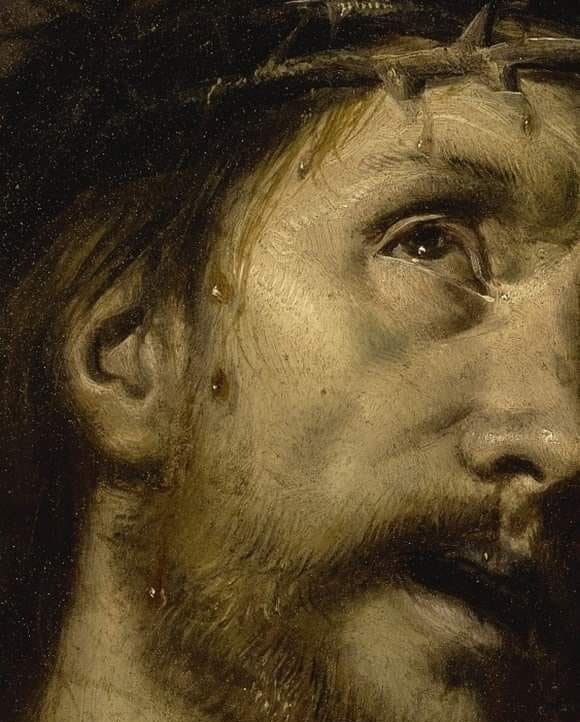 Morgana 🇻🇦⊹ .⋆♱⃓ tweet media