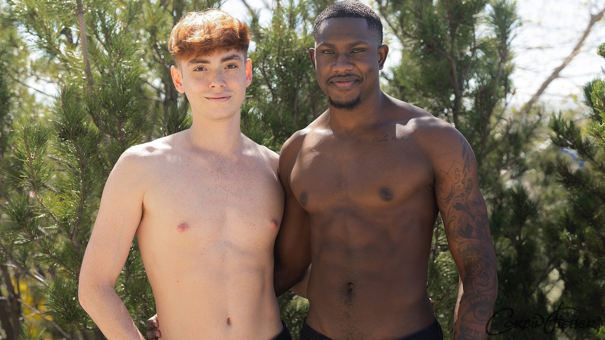 QueerClick tweet media