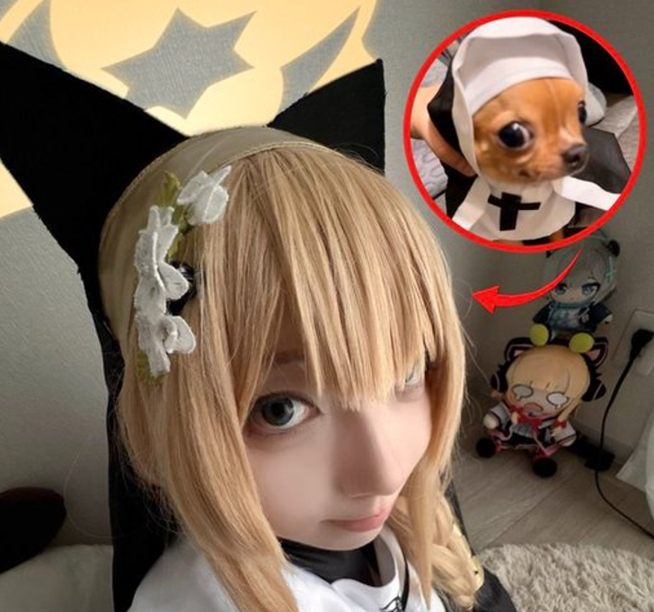 totallybrad tweet media