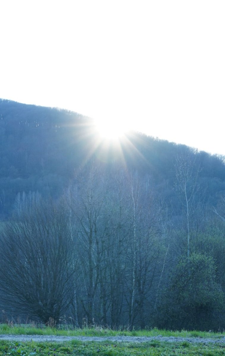 Paweł 🇵🇱 tweet media