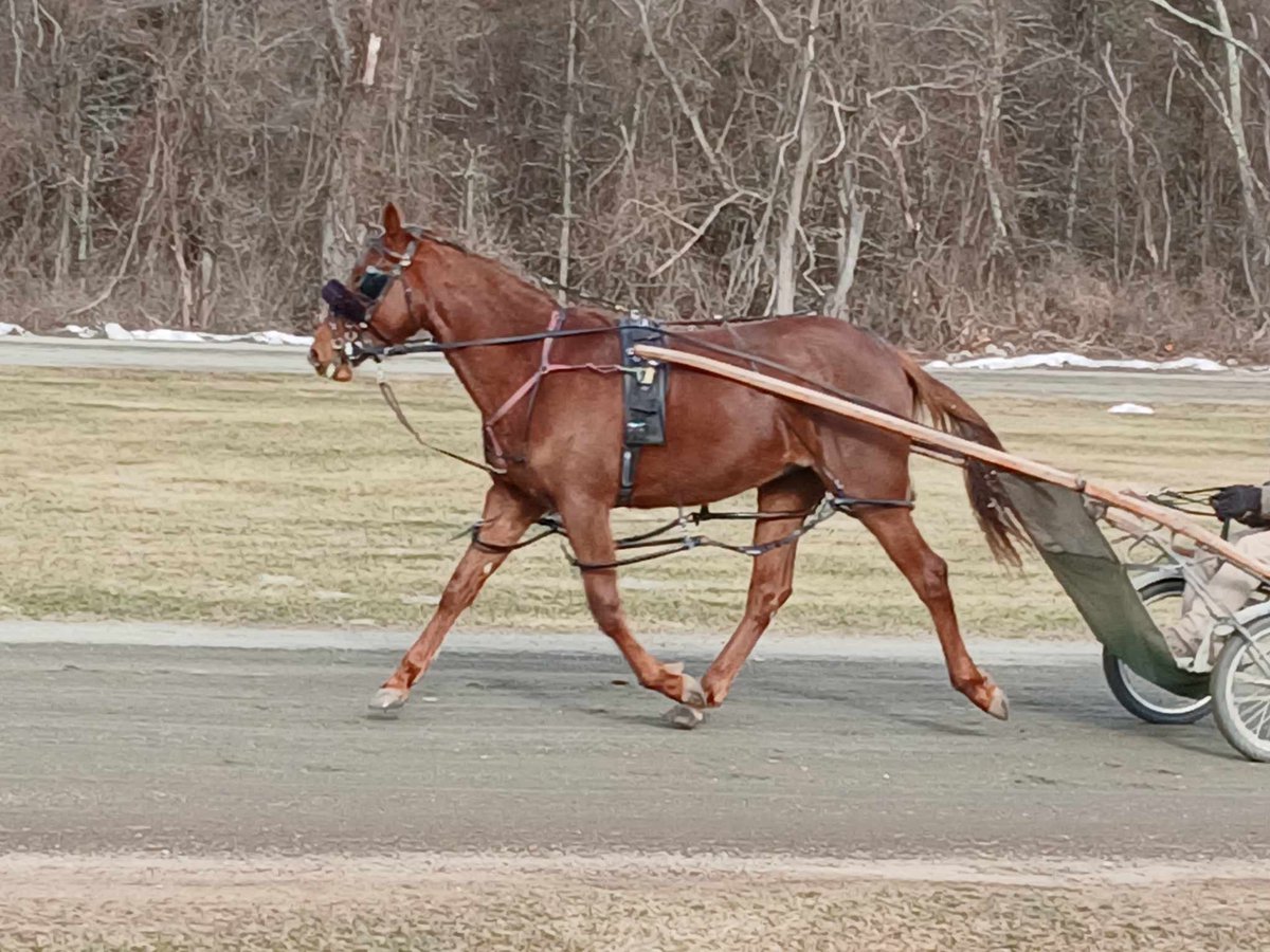 Blue Chip Farms tweet media