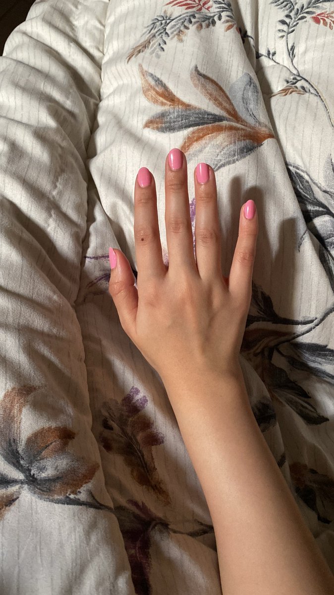 لمياء الفاريابي tweet media