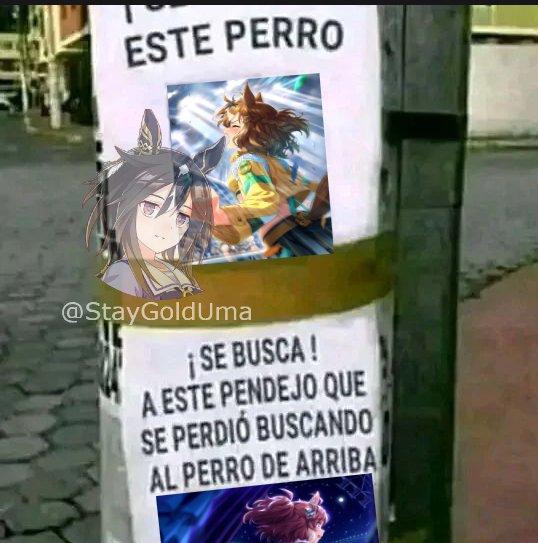 Reportera Digitan tweet media