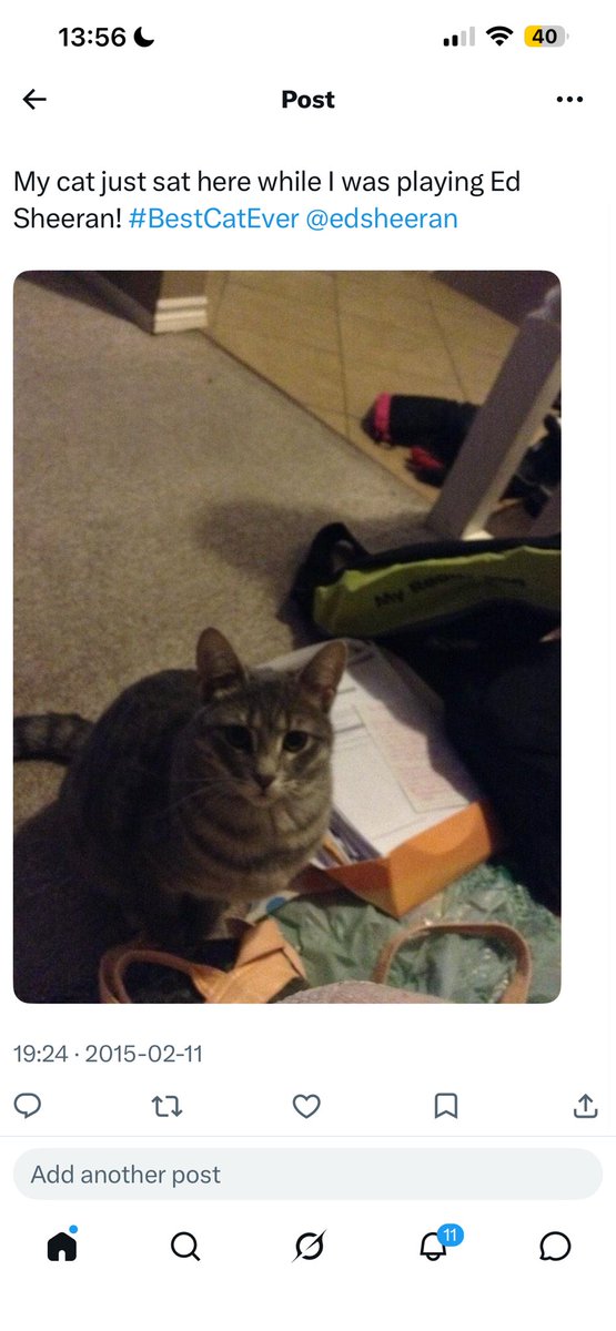 ___emi1y's tweet photo. Yesterday, I had to say goodbye to my best friend, my pretty girl, my Sophie. She was a ed Sheeran loving cat and went peacefully listening to his music.@edsheeran https://t.co/VOgy3QbCgg
