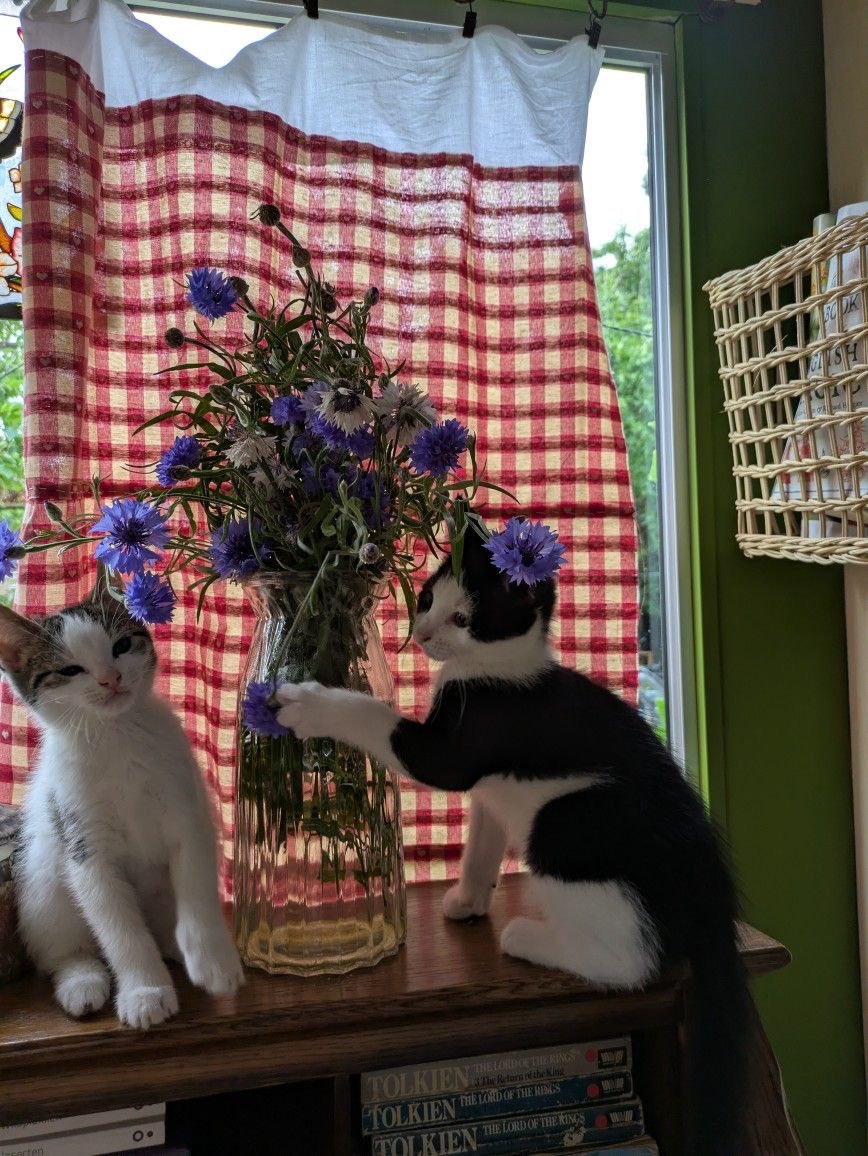 بحر 🌊 tweet media