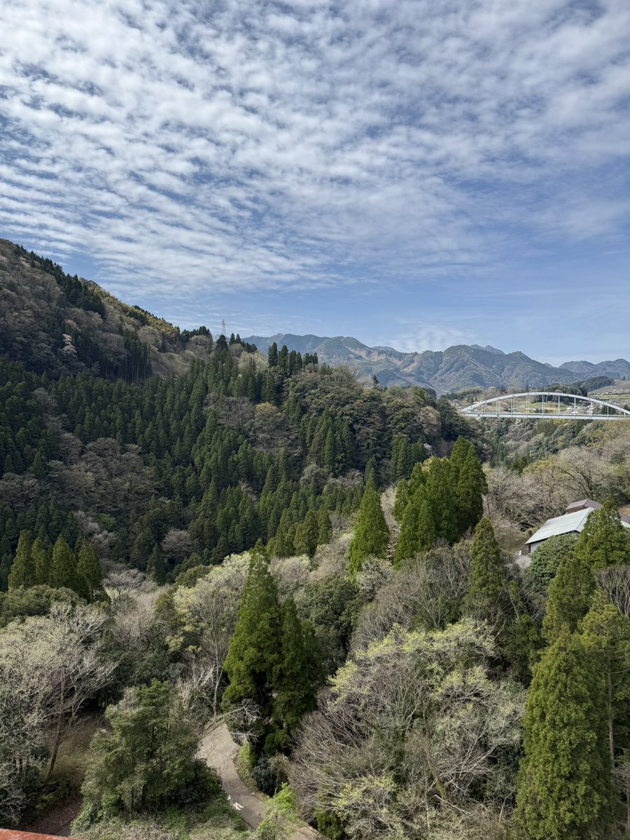 sephi@友達無くすドルモーア tweet media