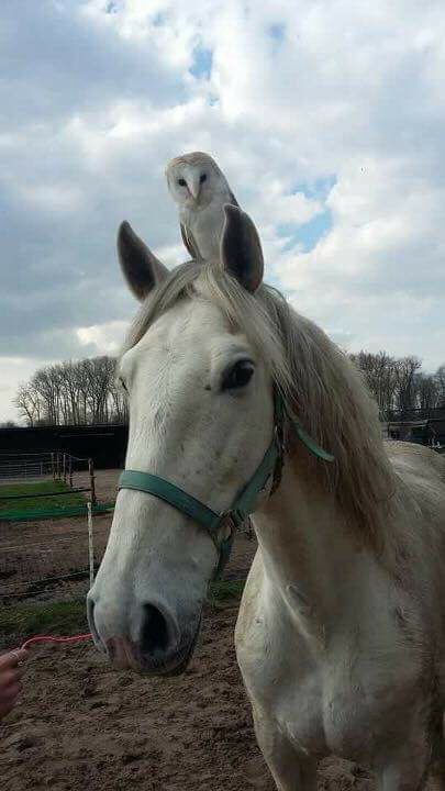 𝐁𝗂𝗀 𝐌α𝖼 tweet media