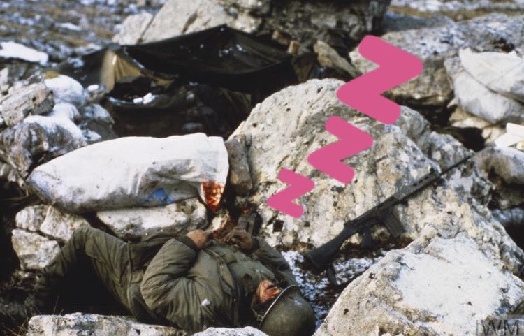 Don Vikingo tweet media