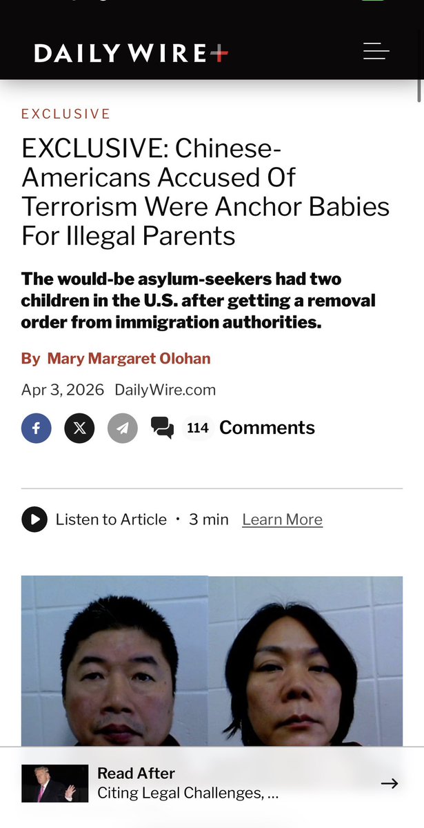 Megan Basham tweet media