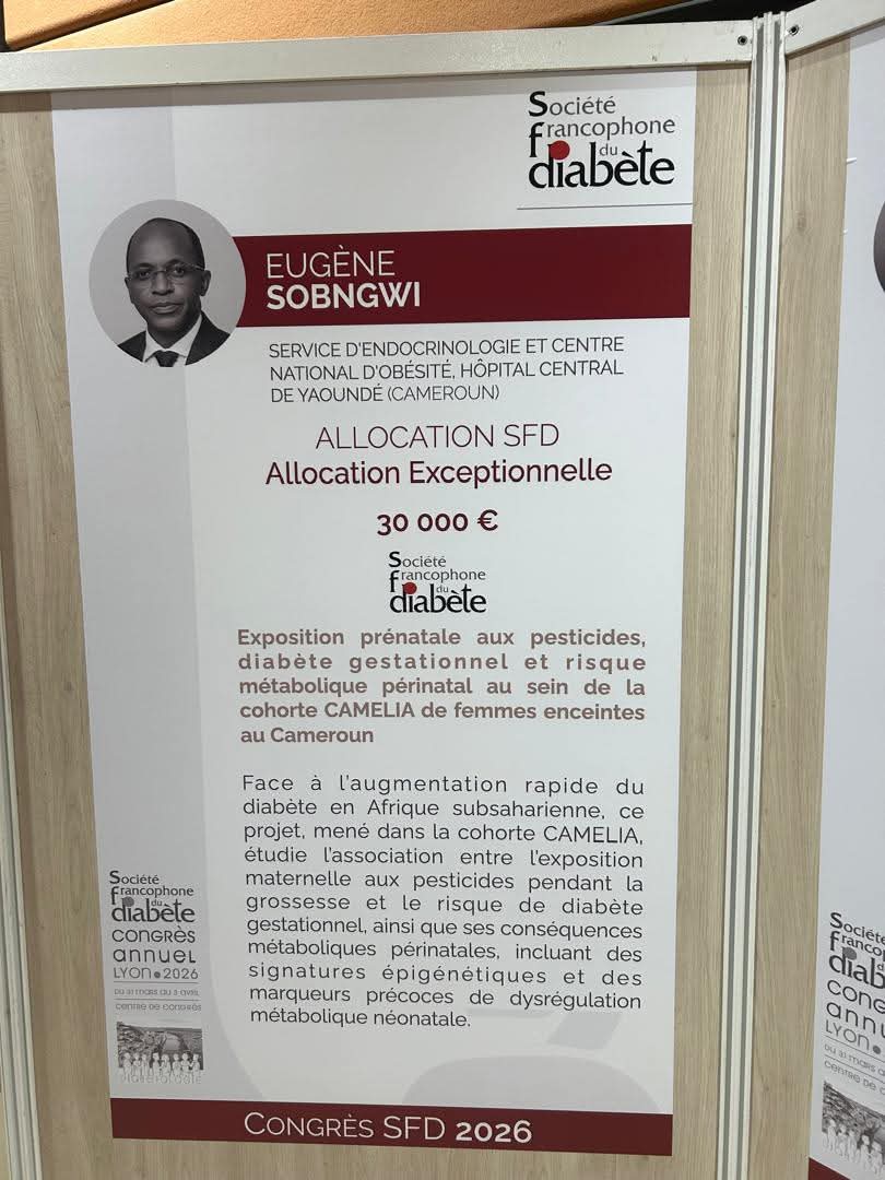 RSD Institute tweet media