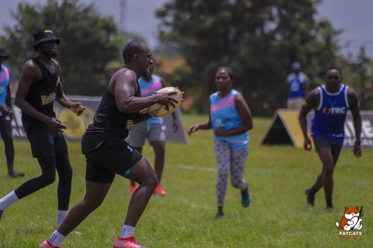 Fat Cats Podcast 🏉🎙️ tweet media