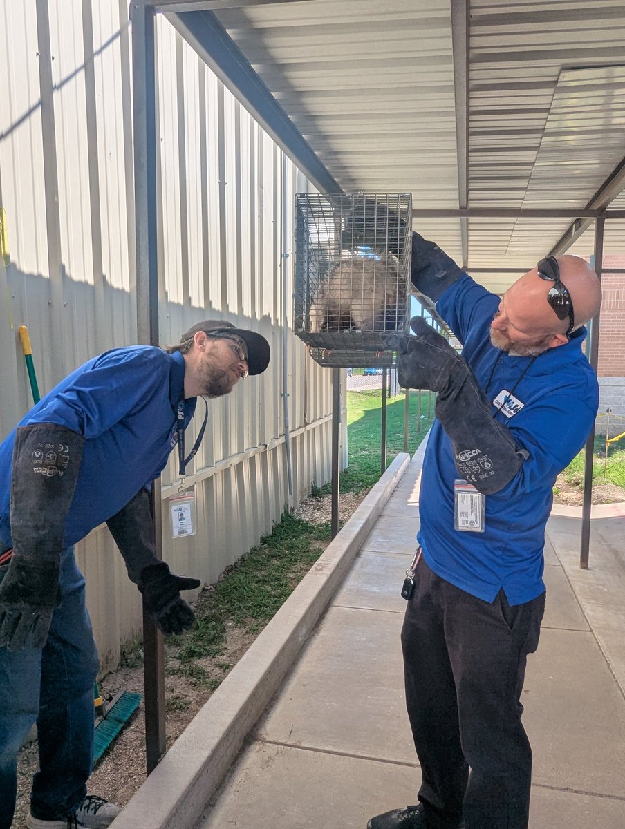 Haley Dean tweet media