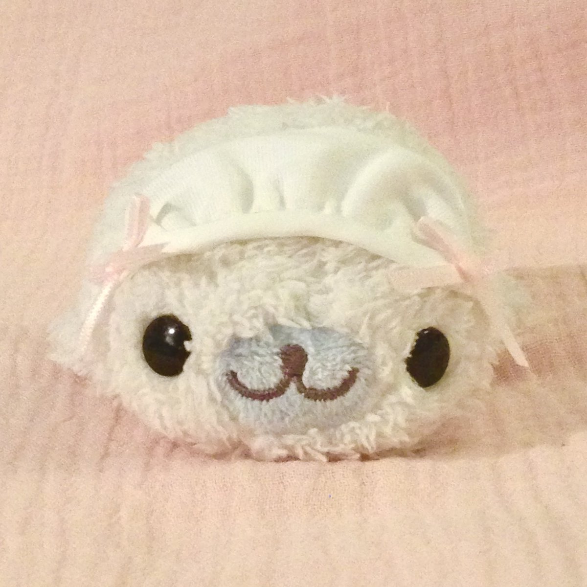 따봉•• tweet media