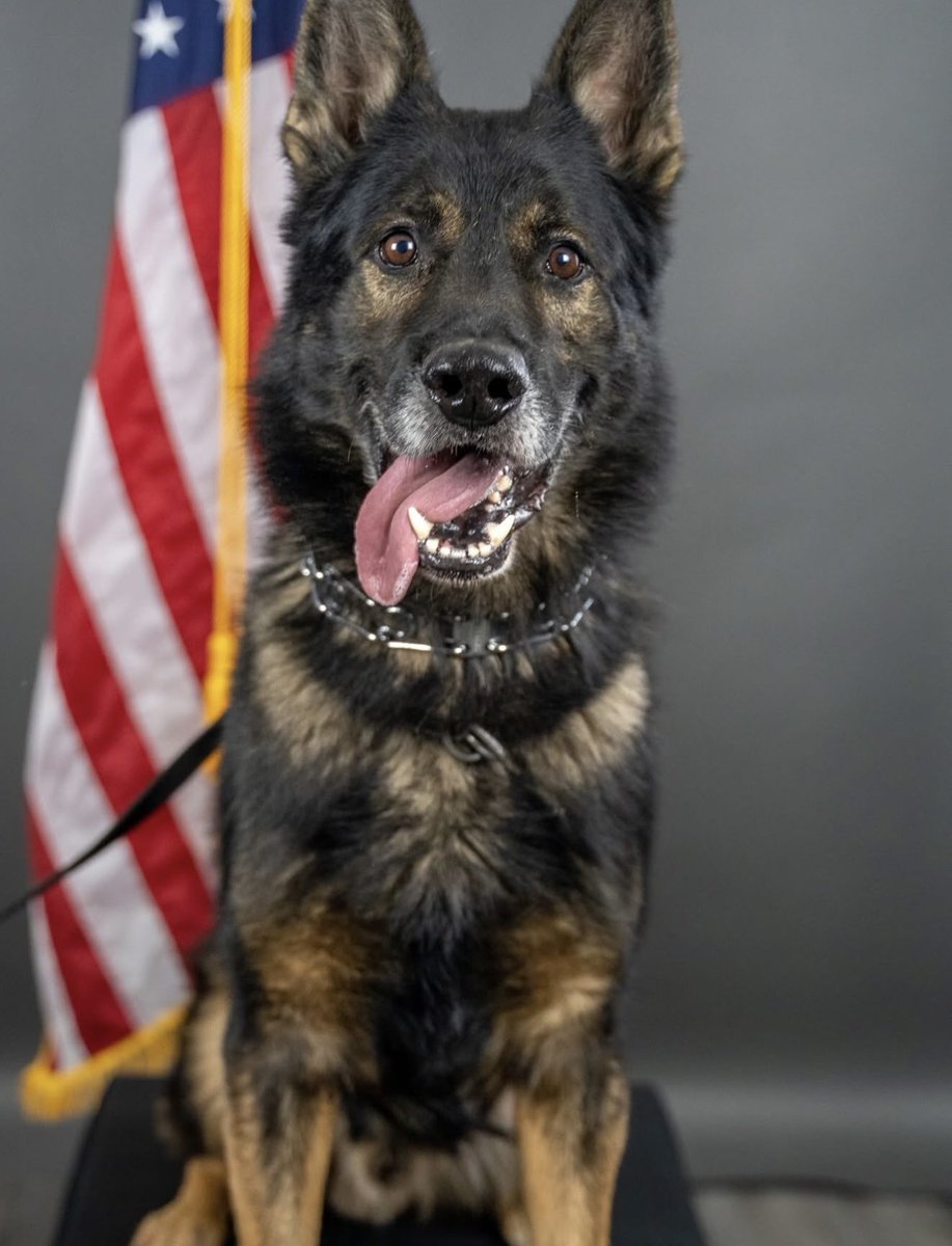 Military Support tweet media