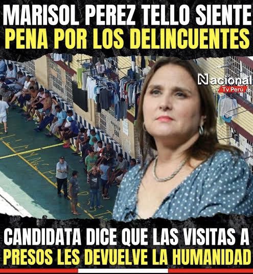 Mauro Mercer tweet media