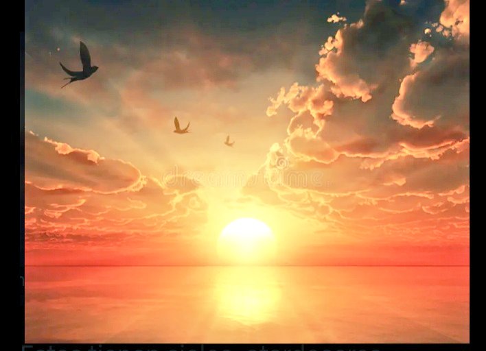 Adriana#TeamUnidoS❤❤ tweet media