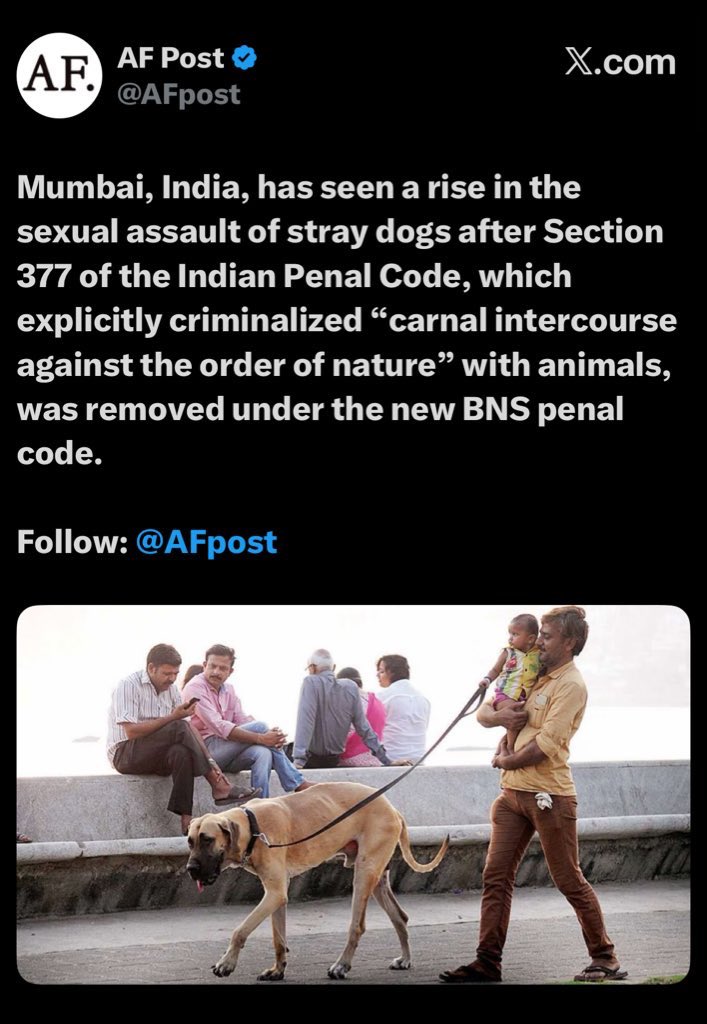 𝓐𝓷𝓰𝓮𝓵 🇺🇸 🇲🇽 🇪🇸 tweet media