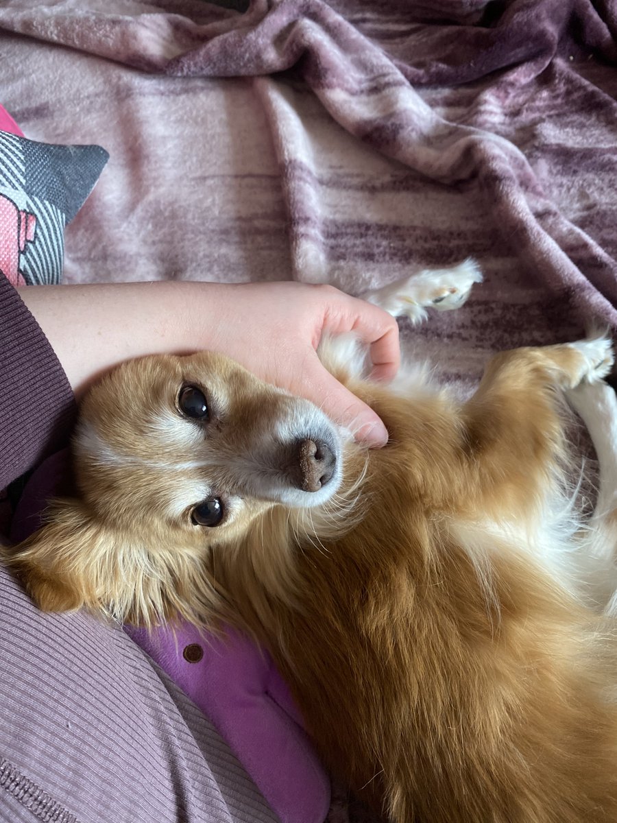 mama yucky tweet media