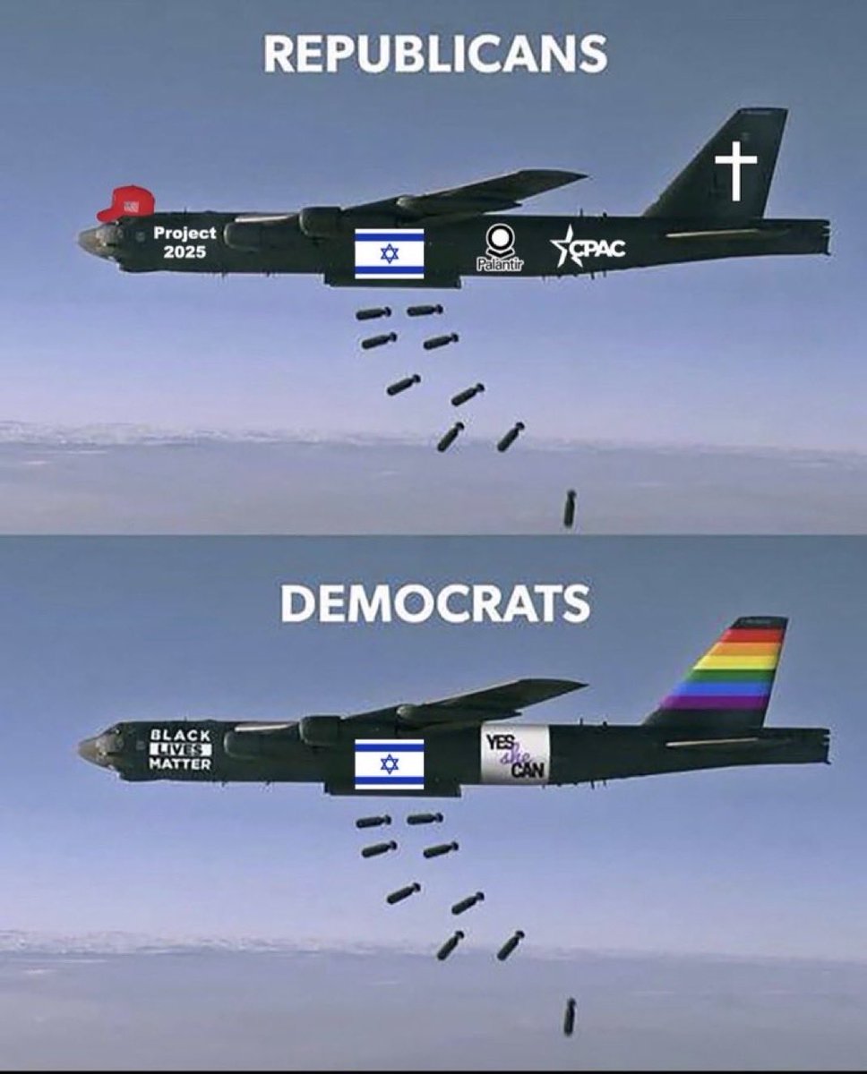 Catta Lev 🇺🇸 tweet media