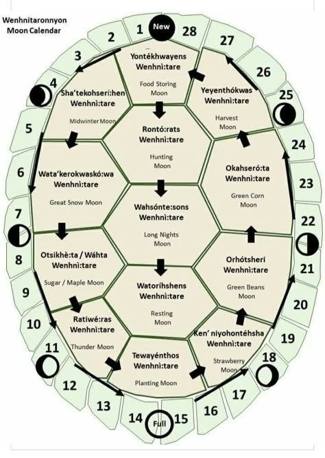 dijitalyukselis's tweet photo. Sana takvimi kim verdi? Papa XIII. Gregory. 1582 yılında bütün dünyaya dayattığı bu sistem, ayları 28, 30, 31 gün diye yamuk yumuk dağıttı. Neden? Çünkü doğanın gerçek takvimi 13 aydı ve 13 sayısı ezoterik gelenekte uyanış demekti. Onu uğursuz ilan ettiler ki kimse o kapıyı açmasın.  

Gerçek şu. Ay dünya etrafındaki turunu 28 günde tamamlar. Kadınların âdet döngüsü normal şartlarda 28 gündür. Okyanus gelgitleri 28 günlük ritimle çalışır. 28 çarpı 13 eşittir 364, artı bir gün dinlenme günü, tam "bir güneş yılı". Mayalar bunu biliyordu, Keltler bunu biliyordu, kaplumbağanın kabuğundaki 13 plaka bunu taşıyordu. Doğa sana takvimi zaten veriyor ama sen duvardaki sahte takvime bakıyorsun.  

Michel Siffre adında bir Fransız jeolog 1972de Teksas'ta bir mağaraya girdi. Saat yok, takvim yok, güneş yok. Altı ay boyunca karanlıkta kaldı. Vücudu ne yaptı? Kendi döngüsünü kurdu. Beden yapay takvimden bağımsız olarak doğal ritmine döndü çünkü hücrelerin kendi saati var ve o saat gregoryen sisteme göre kurulmadı.  

12 aylık takvim seni doğadan koparır. Ayları eşitsiz yaparak bedeninin ritmini bozar, zihnini mekanikleştirir. Düzensiz bir takvimde yaşayan insan zamanı hissedemez, sadece sayar. Sayan insan akışı kaybeder, akışı kaybeden insan frekansını kaybeder. 13 ay 28 gün sistemi seni aya, denize, kendi bedenine senkronize eder. Gregoryen takvim seni fabrika vardiyasına senkronize eder. Biri doğanın kodu, diğeri köleliğin saati. Hangisine göre yaşadığını sen düşün.

Görsel: Kaplumbağa sırtından 13 plakalık döngü.