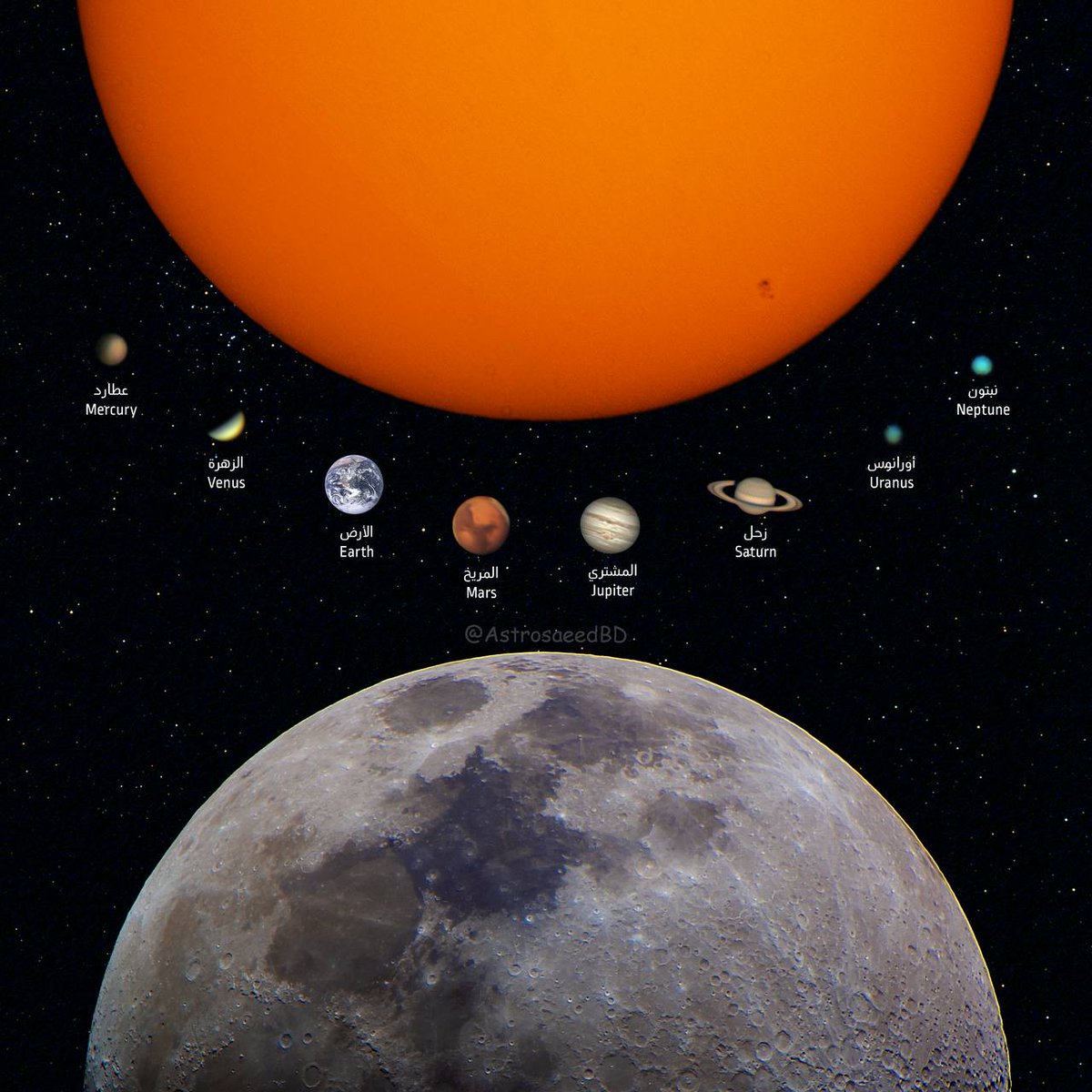 سعِيد 👽 tweet media