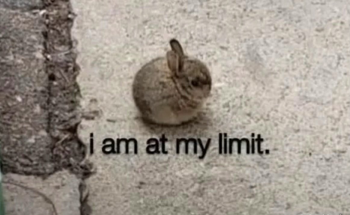 𝐠𝐢𝐧𝐠𝐞𝐫 on hiatus tweet media