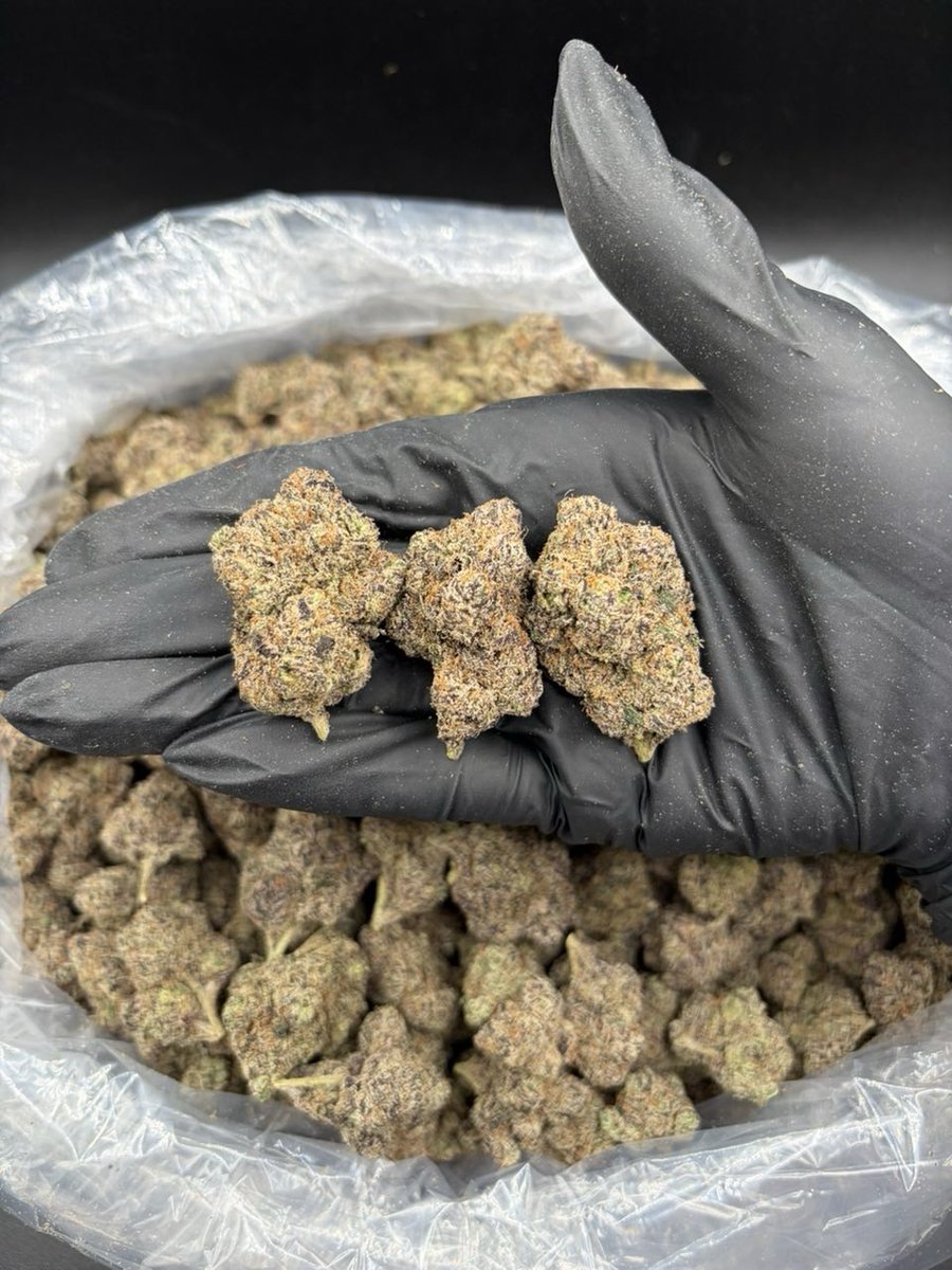 sincity seeds tweet media