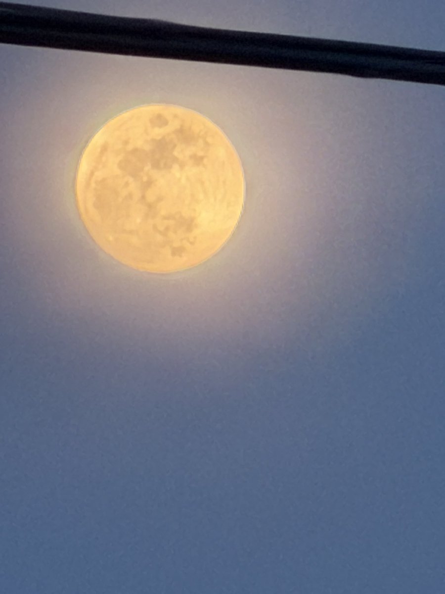 Bill-Bath tweet media