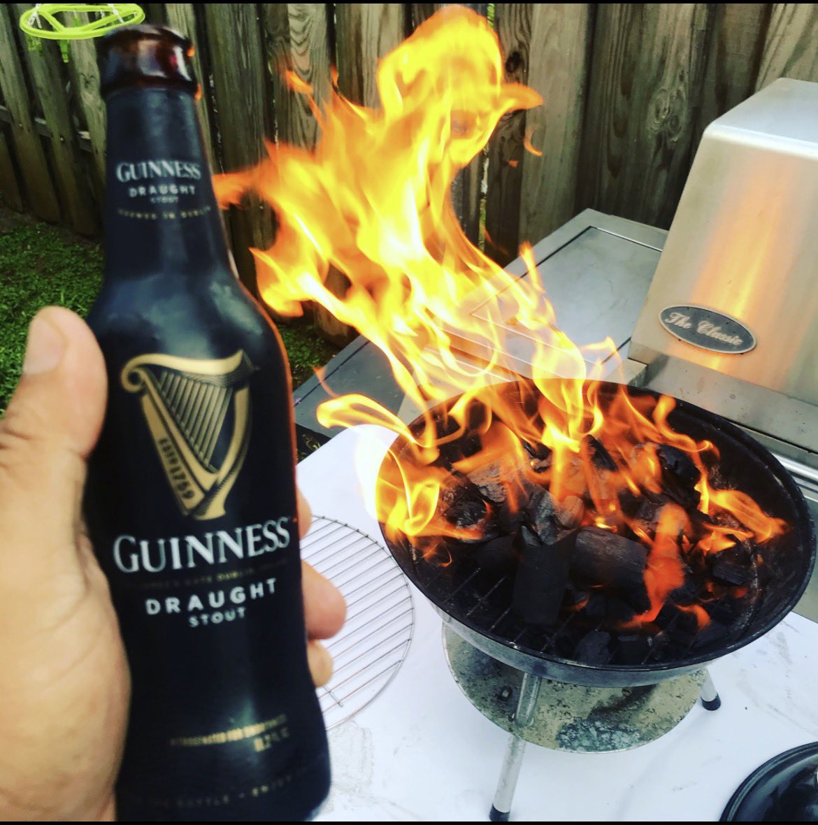 Echo Bravo🎹 tweet media