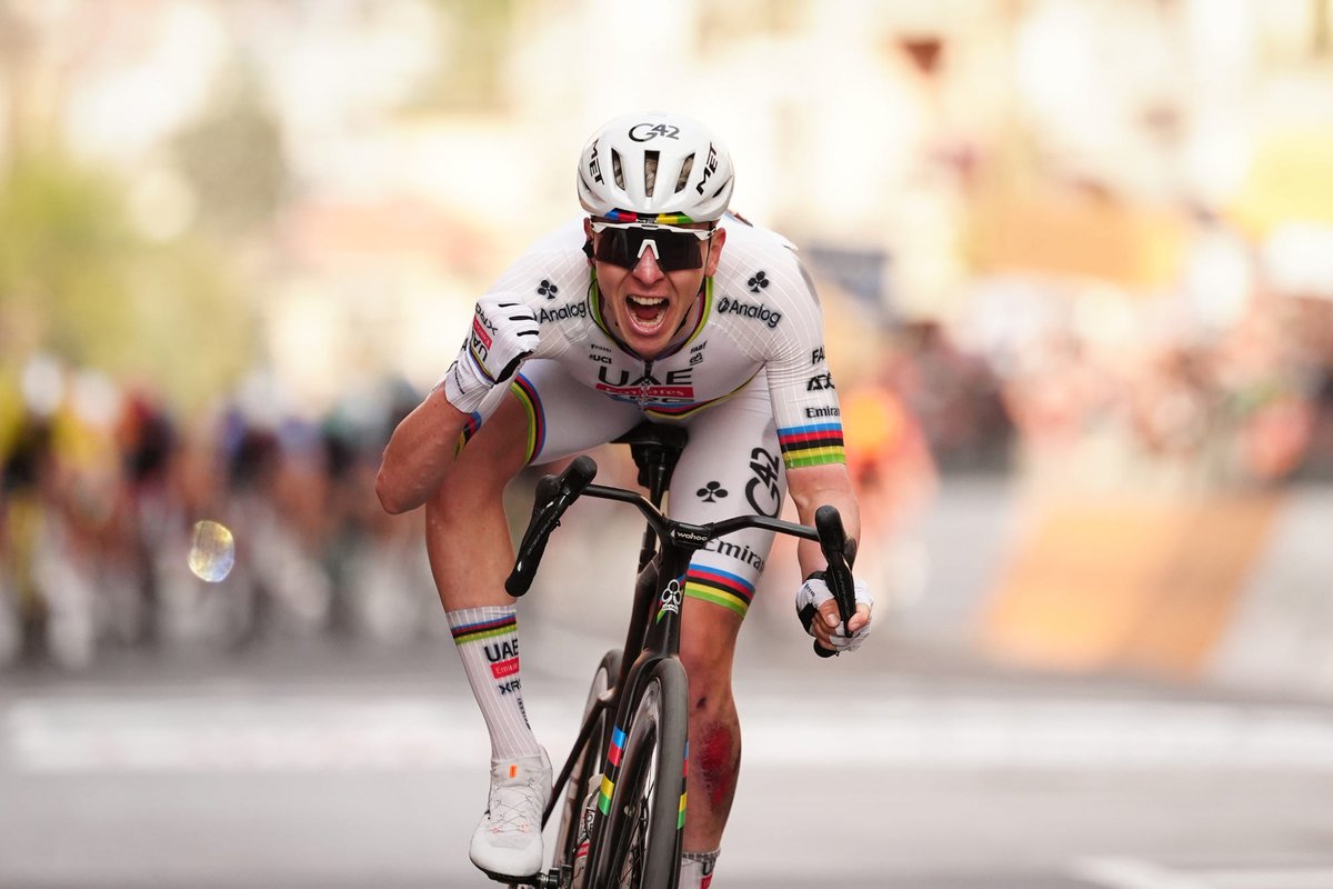 MaschBasch tweet media