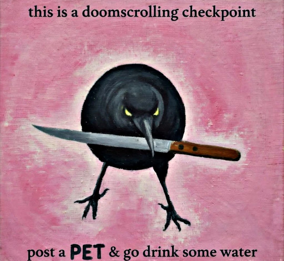 NOTFarms tweet media