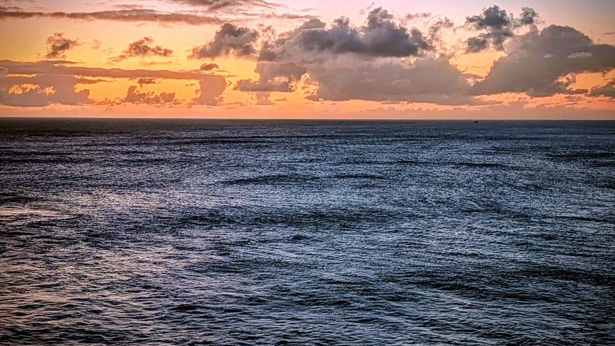 Mark Wallace tweet media