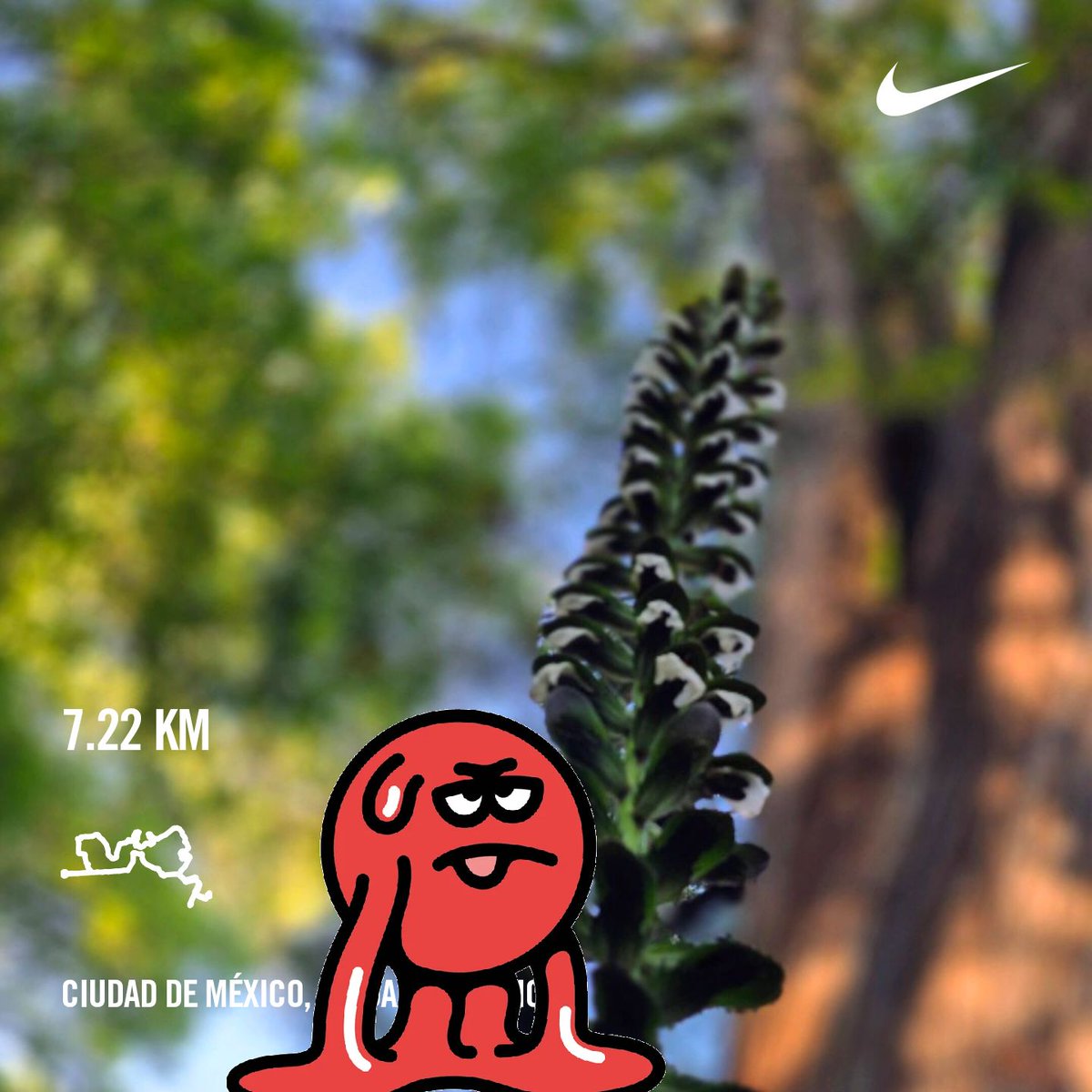 efrencasas's tweet image. #TGIFriday #FridayMotivation #running #nikerunning #yoelegicorrer #fitover61 #corrersana #laufen #RunDay #Chapultepec #CDMX #esdecorredores
