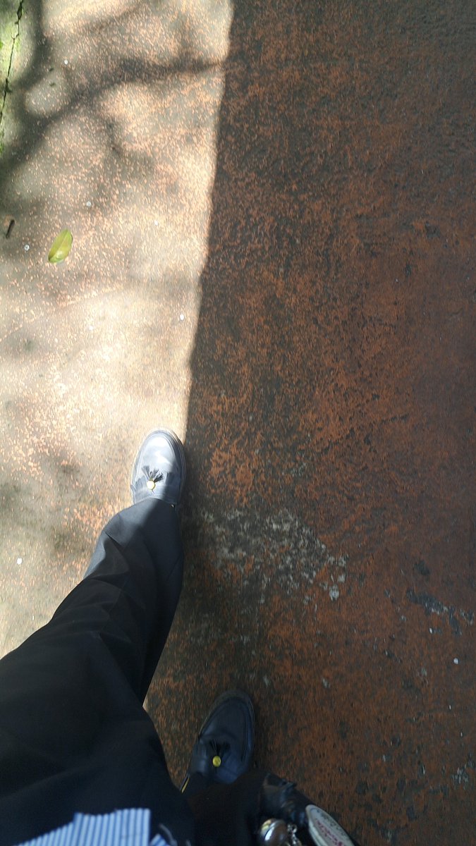 nasgor goreng tweet media