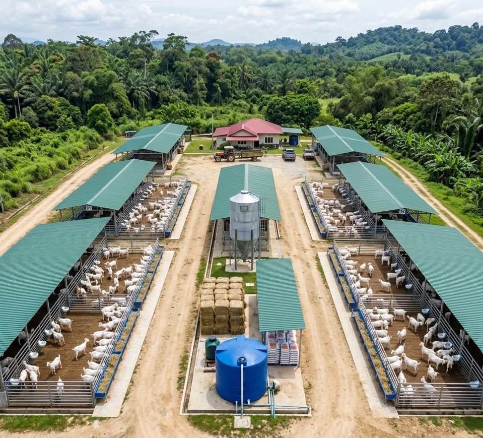 Germaine ABAYIRINGIRA tweet media